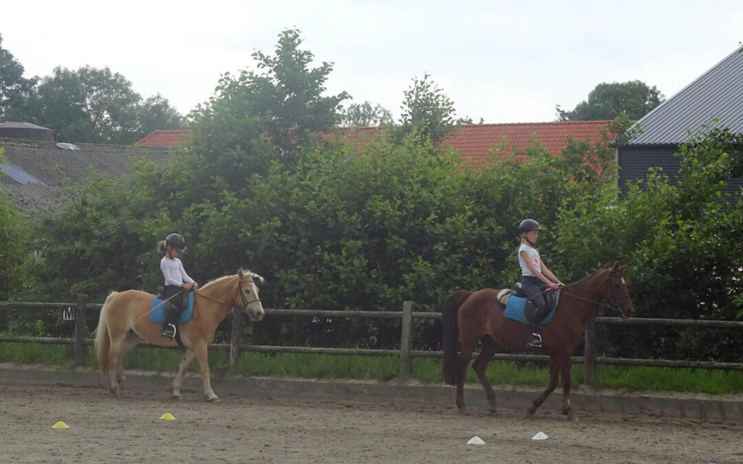 2026: Het Jaar van het Paard | Pak de teugels van je eigen gedachten